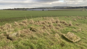 Ringstone Edge