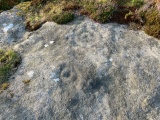 Doubler Stones Allotment 04 - PID:275995