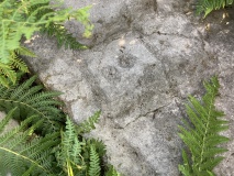 Pancake Ridge 10
