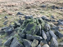 Cat Stones - PID:300057 Cat Stones - PID:300057