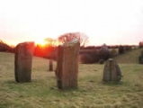 Lime Tree Modern Stone Circle - PID:118292