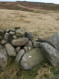 Widdop