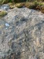 Doubler Stones Allotment 04 - PID:275996