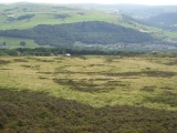 Foster Clough - PID:232470
