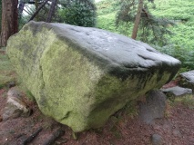Willy Hall's Wood Stone