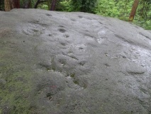 Willy Hall's Wood Stone