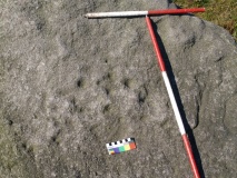 Whirlaw Stones