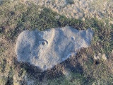 Eaves Crag 01 - PID:237258
