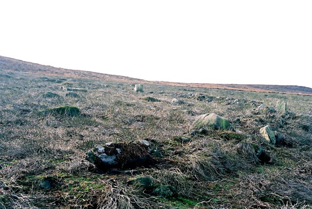 Prehistoric walling at Woofa Bank Enclosure