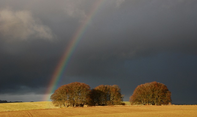Click for the gallery page to add comments and vote (PID:85593) Overton Hill barrow cemetery