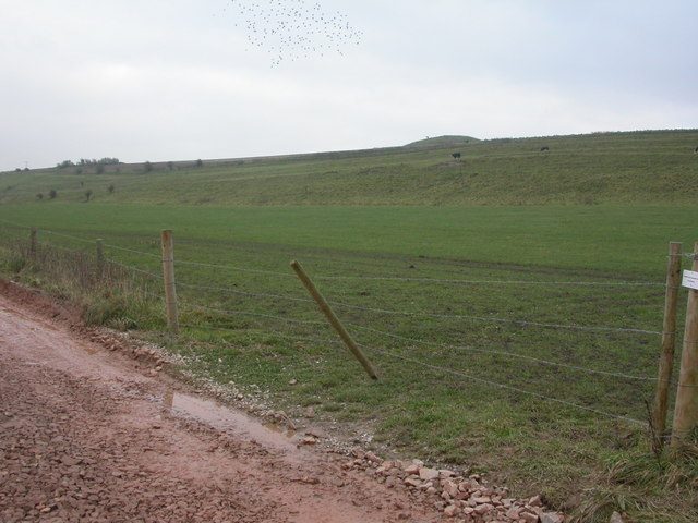 Click for the gallery page to add comments and vote (PID:78215) Enfold Bowl Barrow