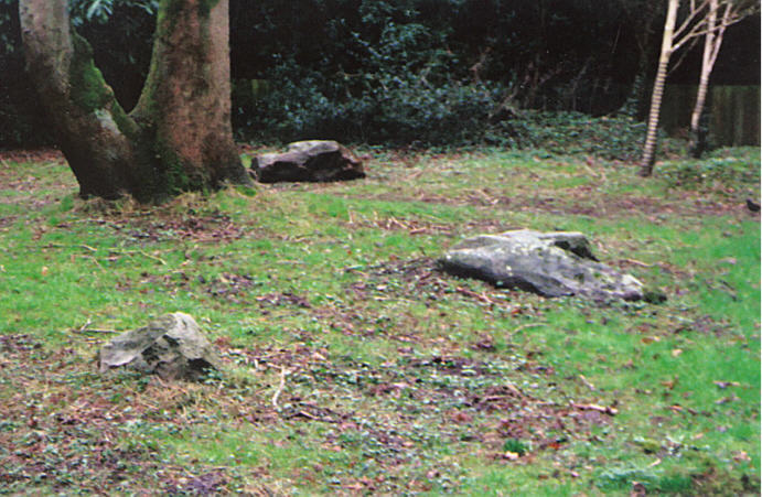 Click for the gallery page to add comments and vote (PID:14716) Pewsey Standing Stones