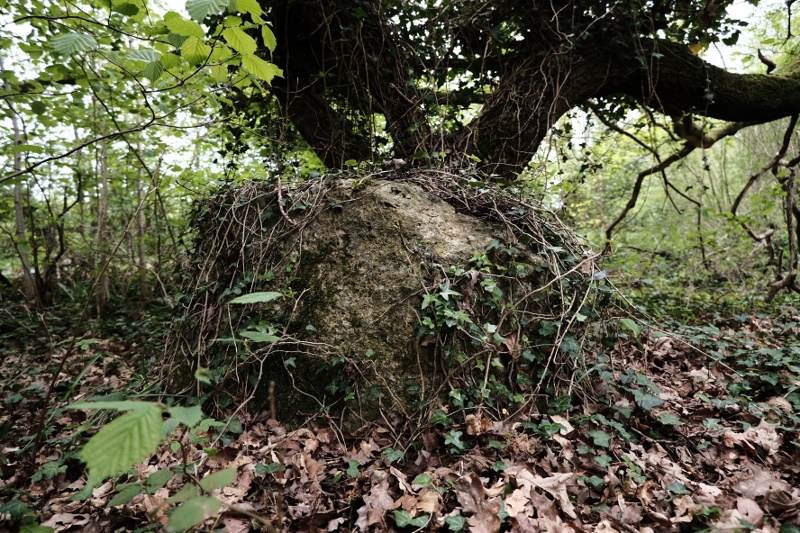 Click for the gallery page to add comments and vote (PID:196771) Conkwell stone circle
