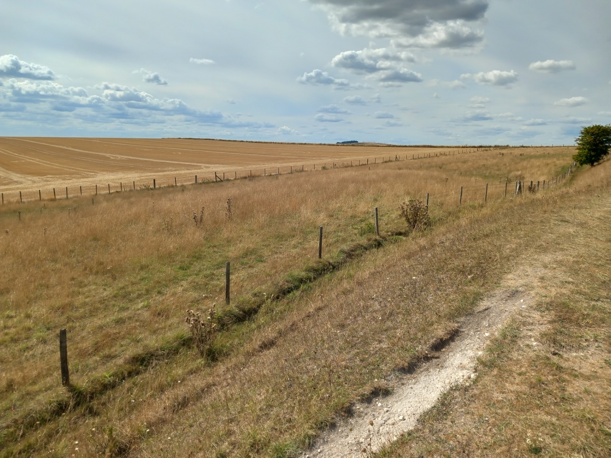 Roughridge Hill Long Barrow