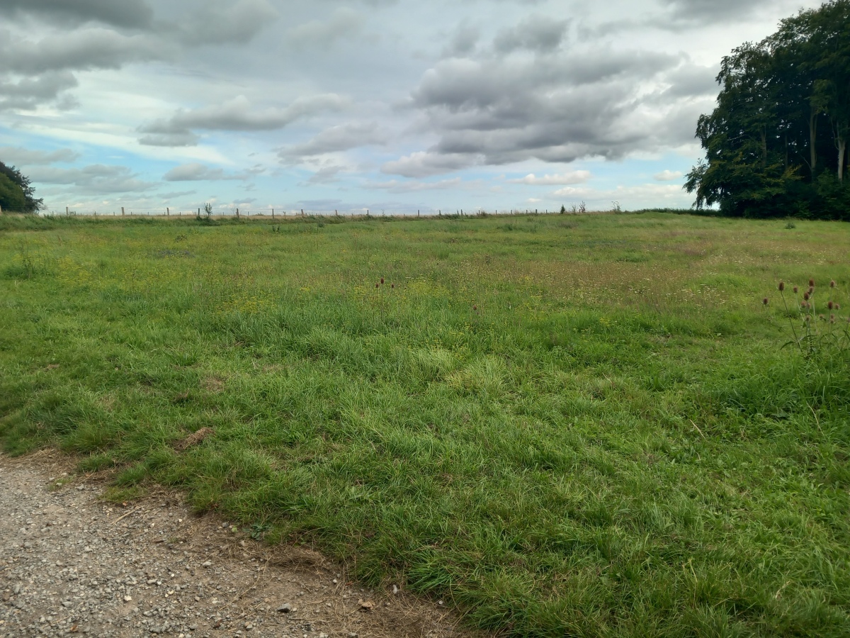 Click for the gallery page to add comments and vote (PID:263009) Amesbury Cursus (E)