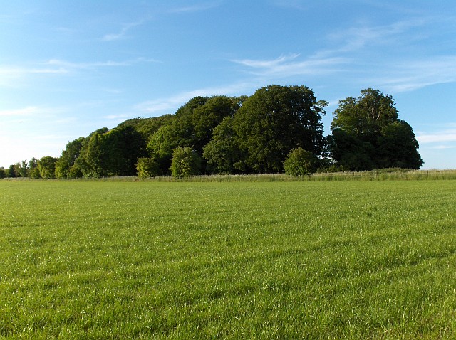 Ablington Barrow Clump