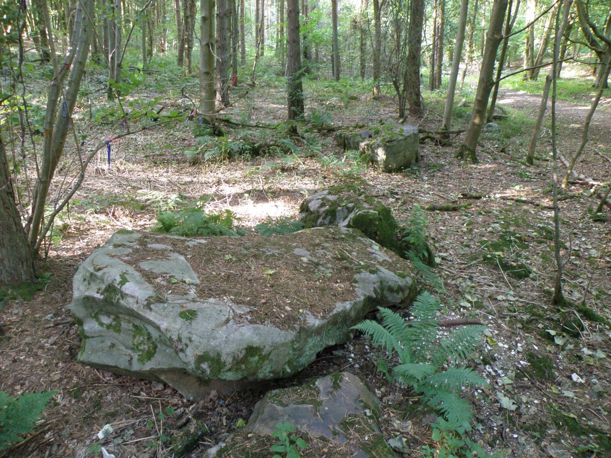Click for the gallery page to add comments and vote (PID:214108) West Woods Sarsen Stones