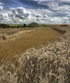 Silbury Hill - PID:103275