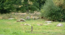 Lockeridge Grey Wethers - PID:3240