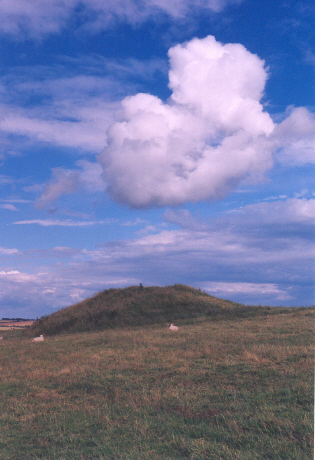 Click for the gallery page to add comments and vote (PID:32378) Bratton Long Barrow