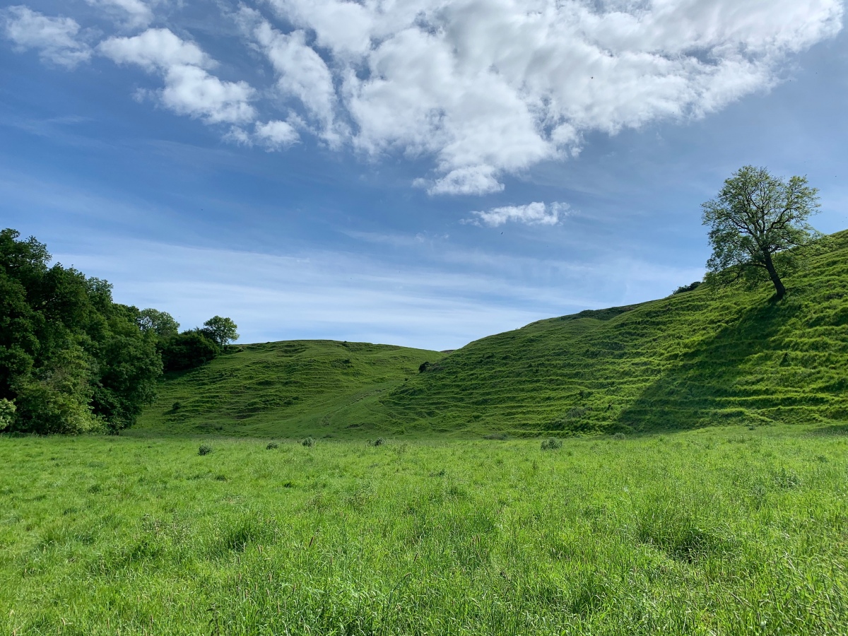 Bincknoll Castle (26/05/20).