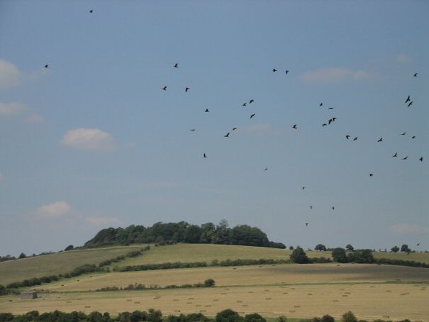 Click for the gallery page to add comments and vote (PID:32304) Clearbury Ring
