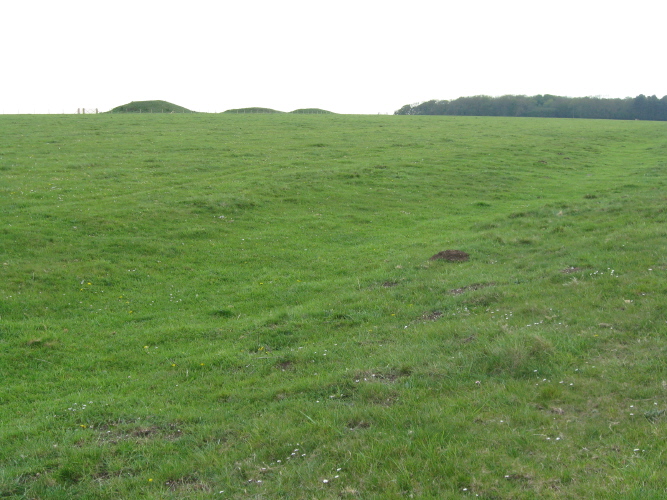 Click for the gallery page to add comments and vote (PID:57456) Great Cursus, Stonehenge