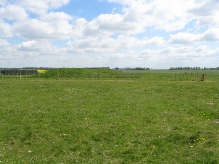 Great Cursus Barrows, Stonehenge (PID:61044) Great Cursus Barrows, Stonehenge