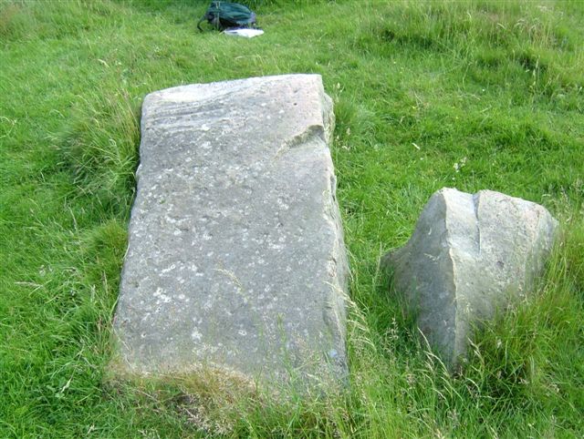 The Polisher (Fyfield Down)