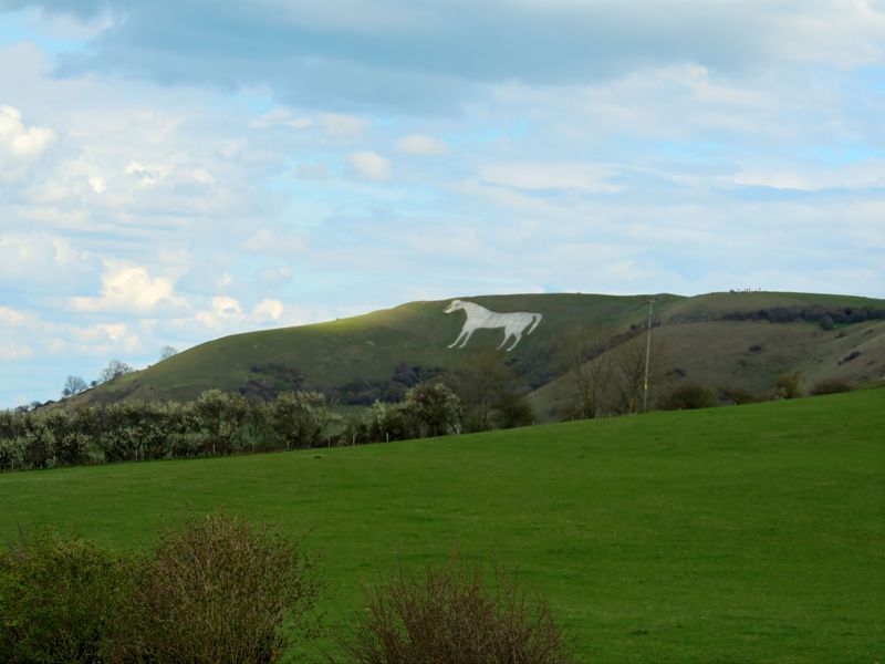Westbury White Horse