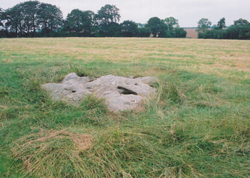 Winterbourne Bassett
