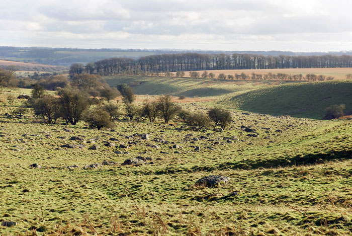 Click for the gallery page to add comments and vote (PID:105625) Fyfield Down