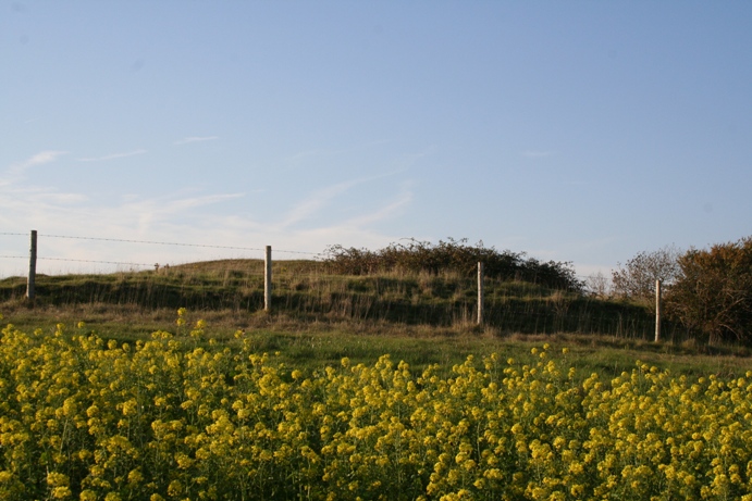 Heddington 1