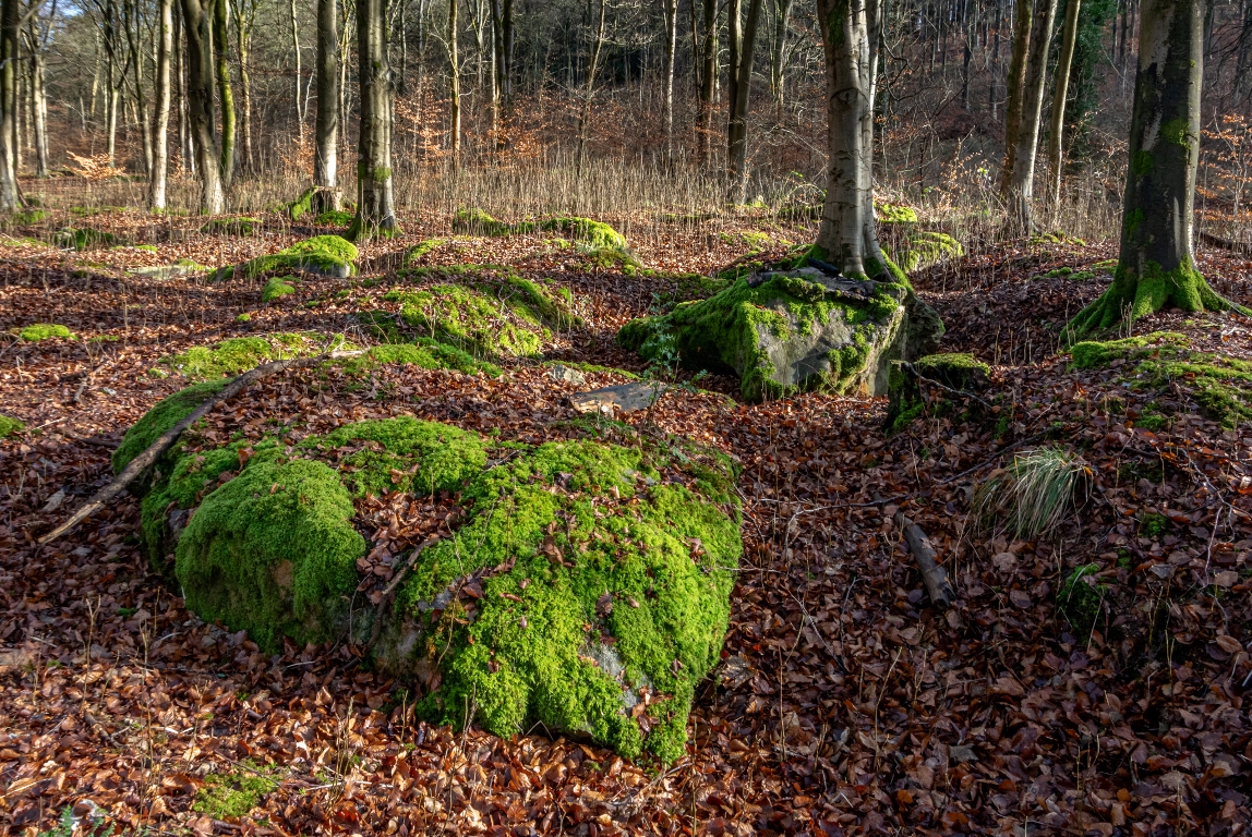 West Woods Sarsen Stones