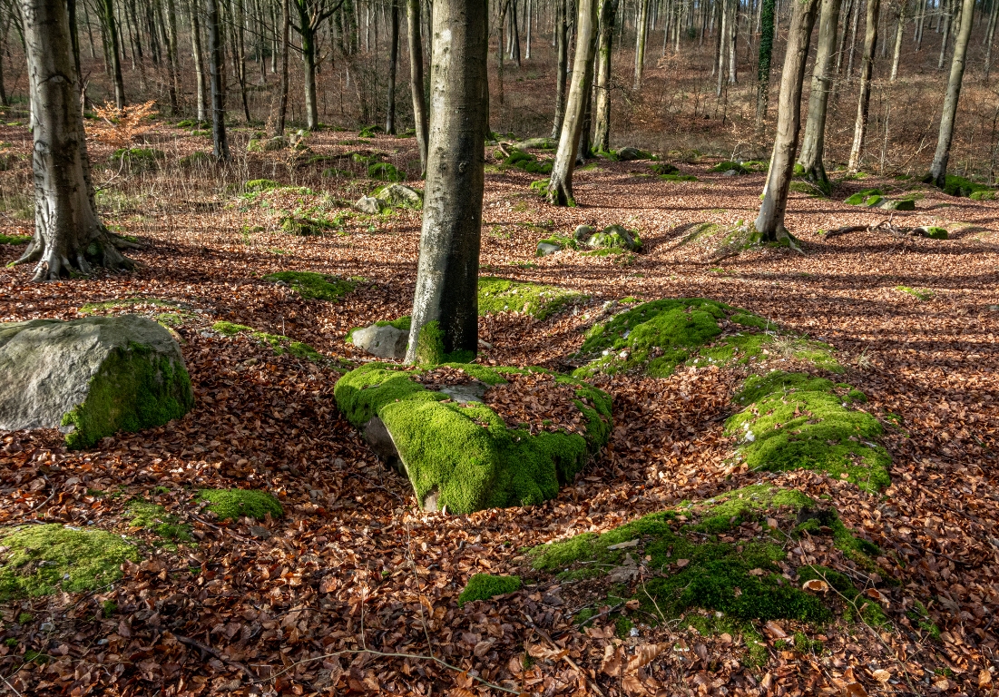 West Woods Sarsen Stones