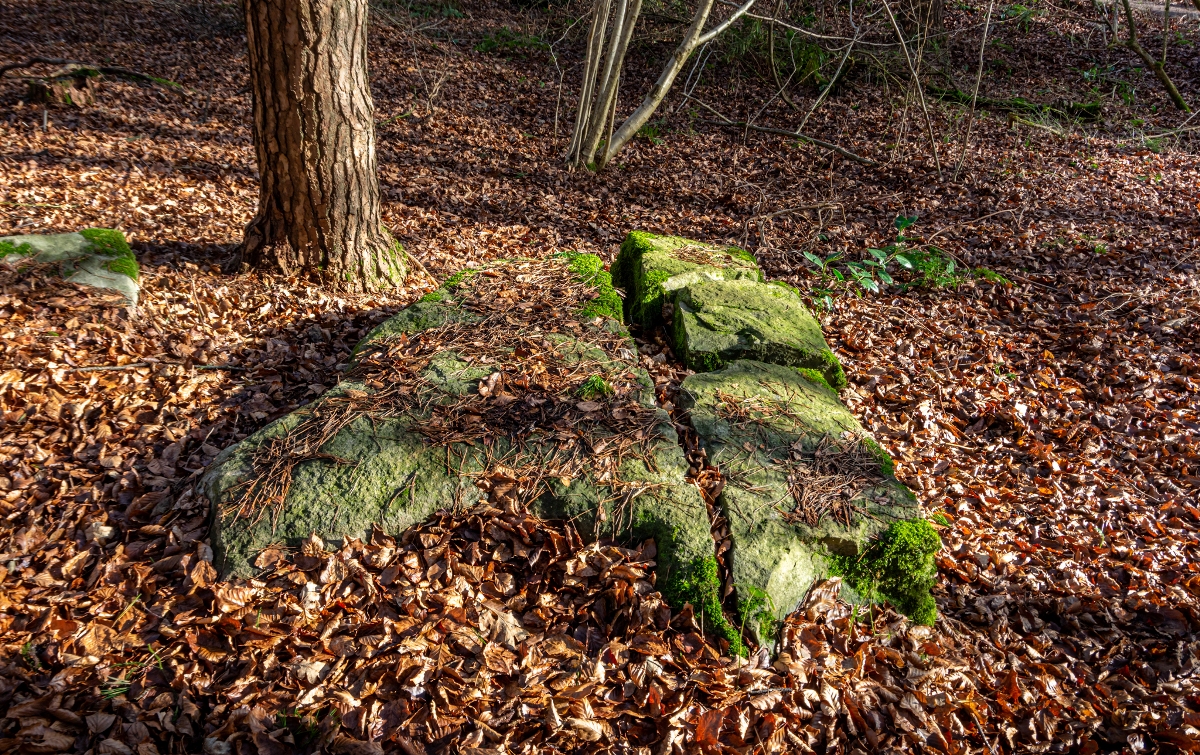 West Woods Sarsen Stones