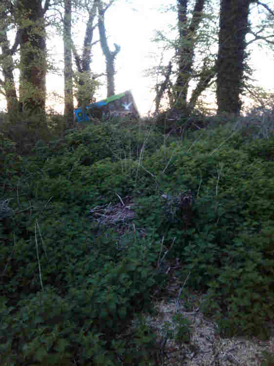 This picture isn't quite all doom and gloom as it first appears. Note in the foreground the evidence of chain saw use. It seems a tree came down and was cut up and removed. All of it not just the part that was blocking the road to the farmhouse.