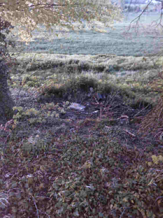 Watergate Long Barrow