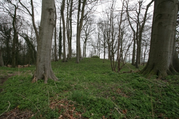 Giant's Grave Barrow Cemetery