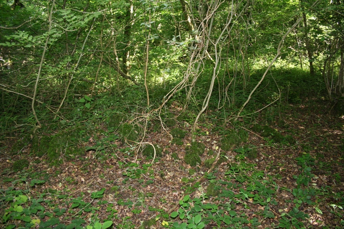 Jug's Grave