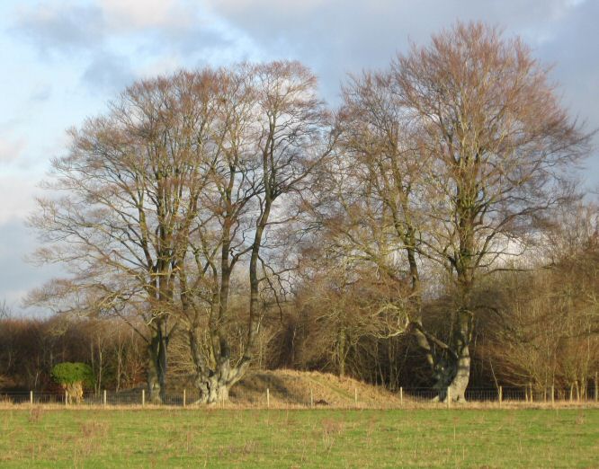 Click for the gallery page to add comments and vote (PID:53645) New King Barrows
