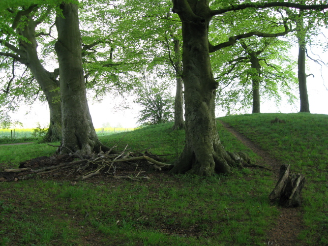 Click for the gallery page to add comments and vote (PID:57483) Old King Barrows