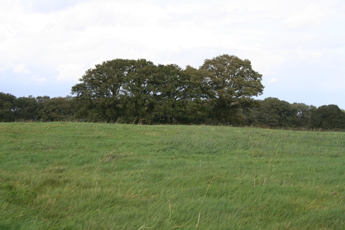 Bury Hill Camp (Purton)