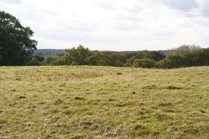 Bury Hill Camp (Purton)