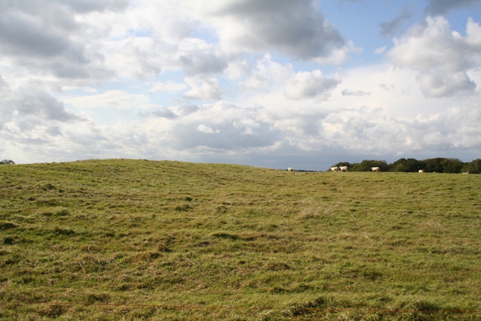 Bury Hill Camp (Purton)