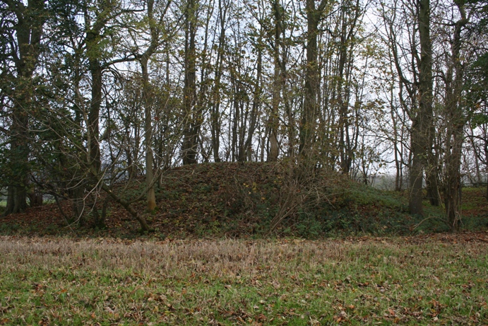 The Danes Tump