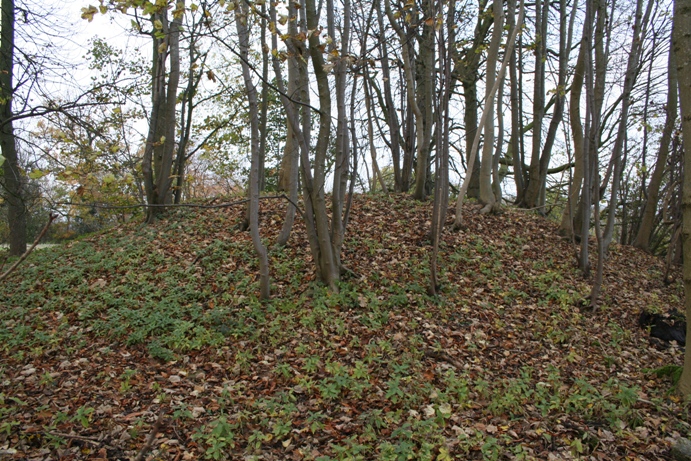 The Danes Tump