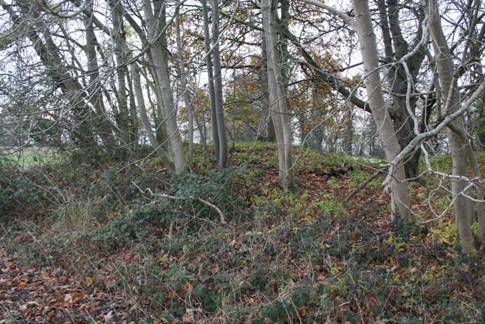 The Danes Tump