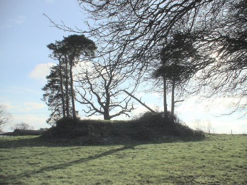 Click for the gallery page to add comments and vote (PID:27041) Templeman's Tumulus