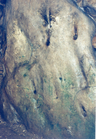 Click for the gallery page to add comments and vote (PID:32051) West Kennett Long Barrow